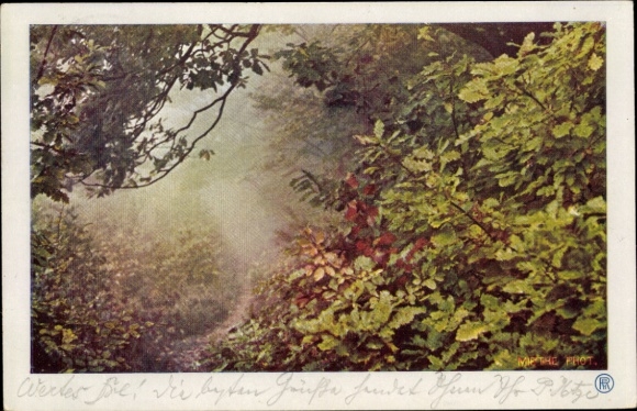 Artist Postcard Allegory, Season, Forest Magic, Autumn Mist