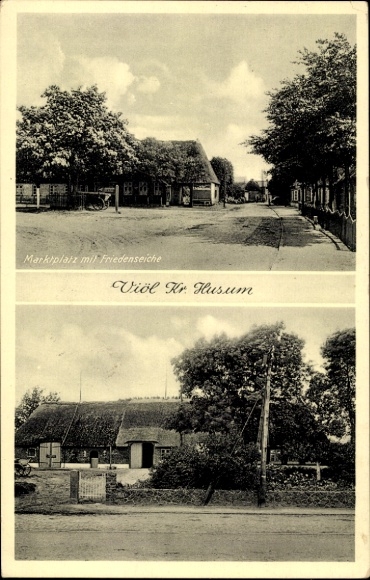 Wijk Ak Viöl Husum in Noord-Friesland, marktplein met vredeseik, boerderij