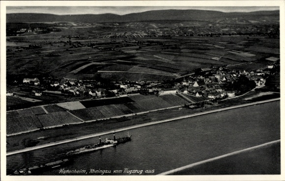 Ak Hattenheim Eltville am Rhein Hessen, Luftaufnahme von  Rheingau, Fluss, Schiffe