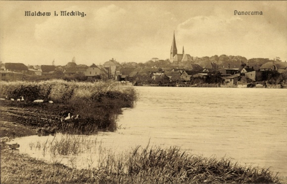 Ak Malchow in Mecklenburg, Panorama