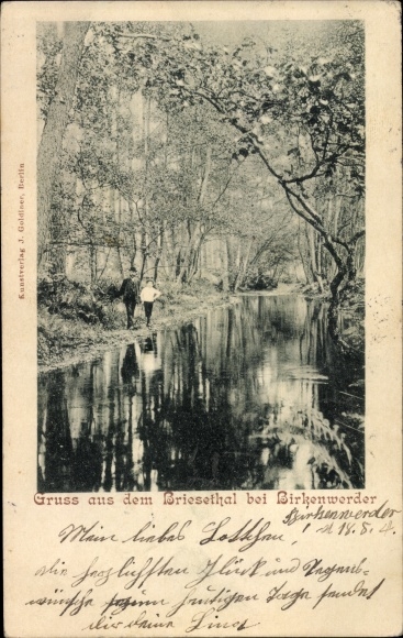 Ak Birkenwerder in Brandenburg, Im Briesetal