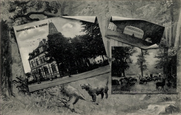 Postcard Springe am Deister, game feeding, Bahnhofshotel H. Busche