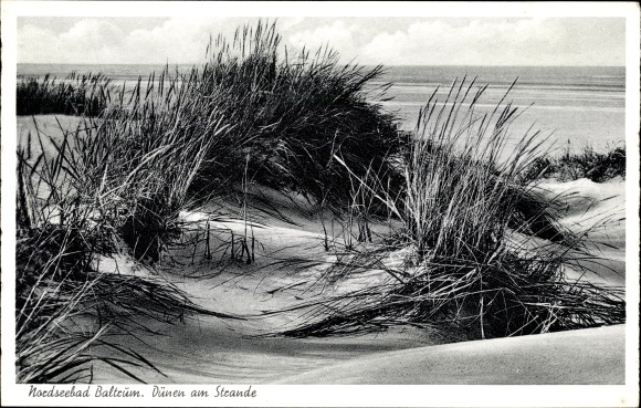 Ak Baltrum, duinen op het strand