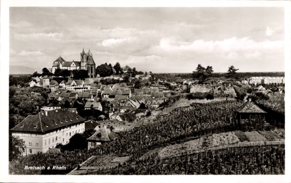 Postcard Breisach am Oberrhein, city view, vineyard, sacred building, historical architecture