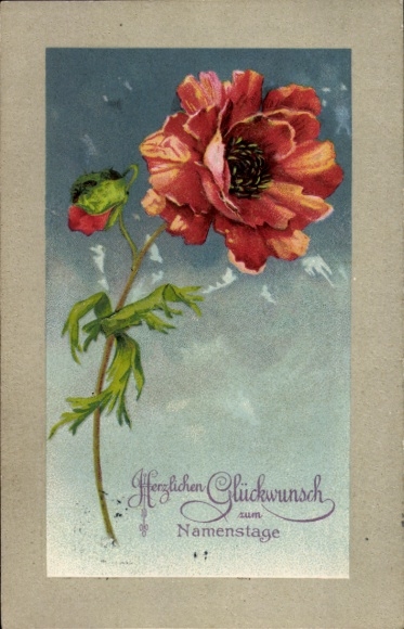 Embossed PC congratulations name day, poppy