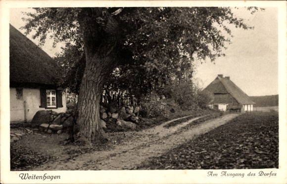 Postcard Weitenhagen near Greifswald, At the exit of the village