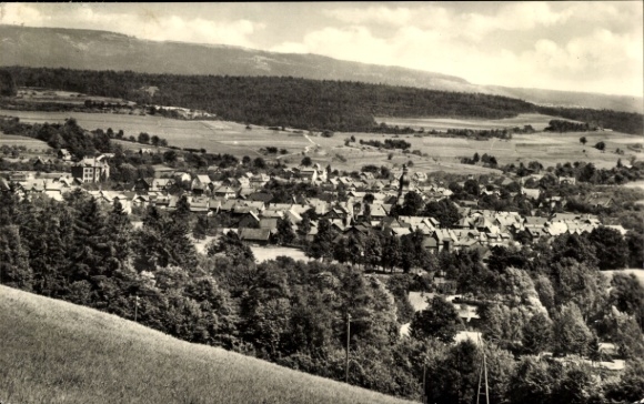 Ak Schalkau in Thüringen, Landschaftsansicht, historische Architektur, bewaldete Umgebung