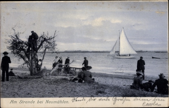 PC Hamburg Ottensen Neumühlen, on the beach near Neumühlen, sailing boat, passers-by, tree