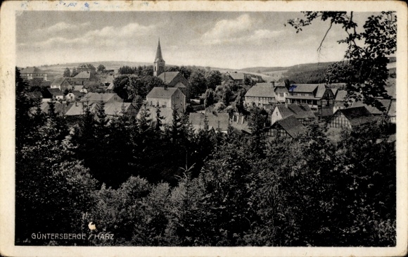 Ak Güntersberge Harzgerode am Harz, zicht door de bomen naar het stadje, kerk