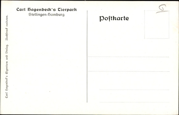 Postcard Hamburg Eimsbüttel Stellingen, Carl Hagenbeck's Zoo, Nordland Panorama, polar bears, seals