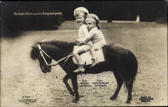 Postcard The two sons of our crown prince couple, Prince Wilhelm and Prince Louis Ferdinand, PH 2229
