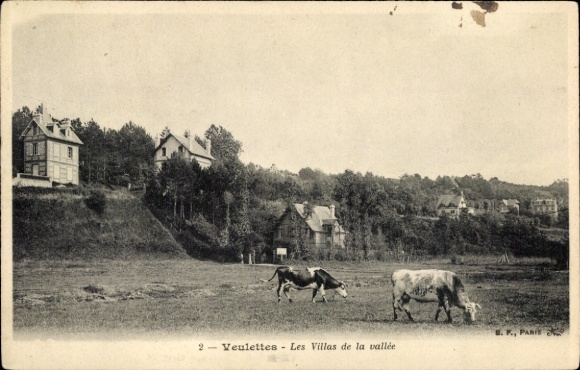 Postcard Veulettes sur Mer Seine Maritime, villas, grazing cows