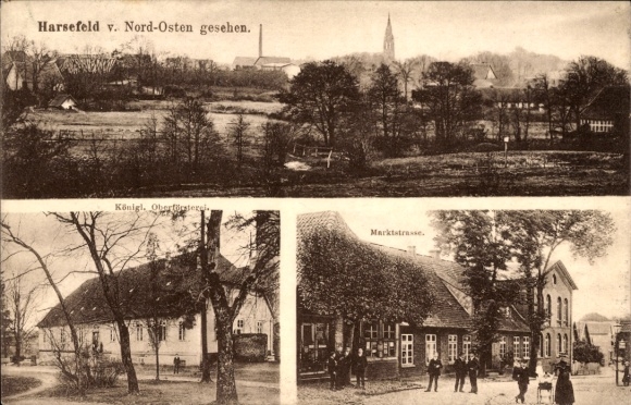 Ak Harsefeld in Nedersaksen, gedeeltelijk zicht, Koninklijk Staatsbosbeheer, Marktstrasse