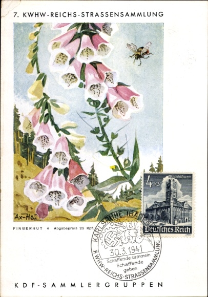 Artist Postcard Axster Heudtlaß, 7th KWHW Reichsstraßensammlung, Fingerhut
