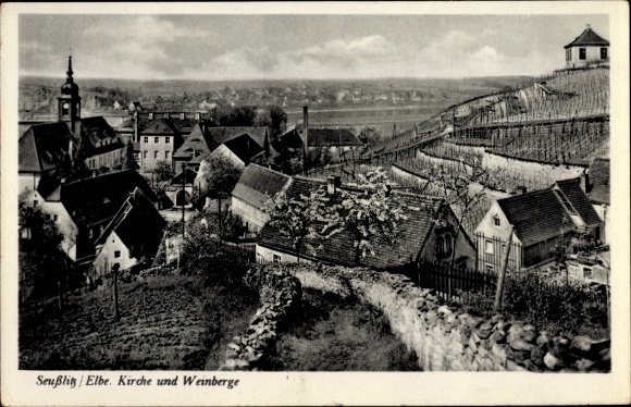 Ak Diesbar Seußlitz Nünchritz aan de Elbe, kerk en wijngaarden
