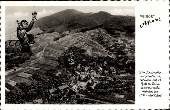 Postcard Affental Bühl in Baden, monkey with wine bottle and glass, toast, aerial view