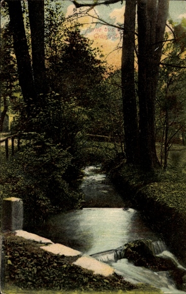 Postcard Grünfeld Waldenburg in Saxony, landscape motif