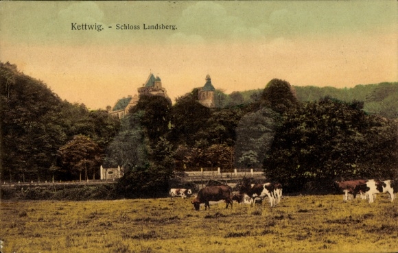 Postcard Ratingen North Rhine Westphalia, Landsberg Castle near Kettwig, cow pasture