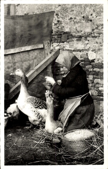 Ak Villefranche-de-Lauragais, Gänsefütterer