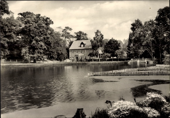 Ansichtkaart Reudnitz Cavertitz in Saksen, Gasthof Reudnitz, Dahlener Heide