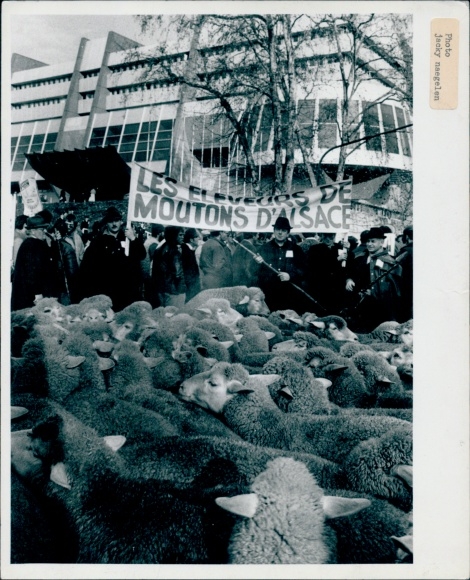 Photo: The sheep farmers of Alsace, demonstration in front of the European Parliament, Strasbourg, 10.12.1985
