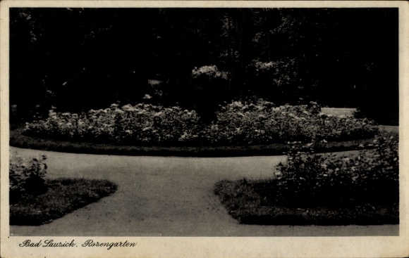 Ak Bad Lausick in Sachsen, Rosengarten, Blumenbeete, curvige Wege, Schwarz-Weiß Bild