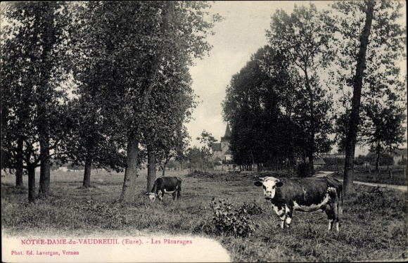 Postcard Notre Dame du Vaudreuil Eure, The Pastures