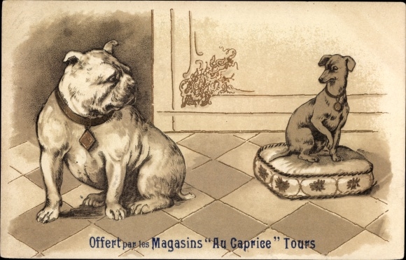Künstler Ak Magasins Au Caprice Tours, Hunde, Bulldogge und Terrier