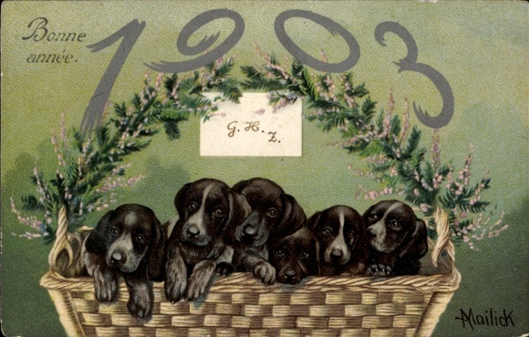 Artist Chromo-Litho Mailick, Happy New Year 1903, Dogs in a Basket