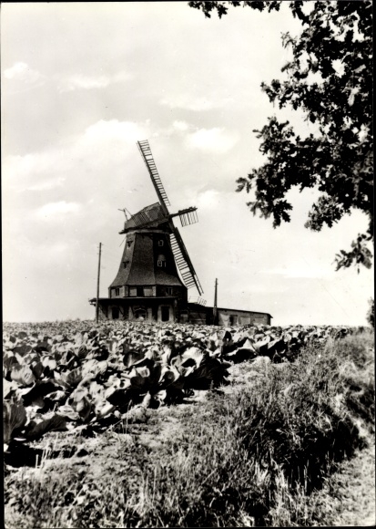 PC Klütz Mecklenburg Western Pomerania, windmill
