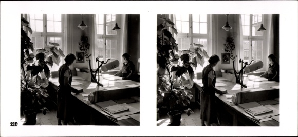 Stereo spatial image &quot;The NS model companies 1937-38&quot;, No. 210, Freiberger Papierfabrik AG, Weißenborn
