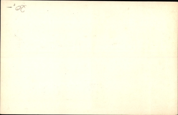 Artist PC Stern Lampadine Elettriche, light bulb, advertisement, frog