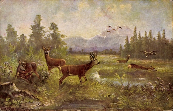 Artist Postcard Müller, M., Landscape with Deer and Ducks