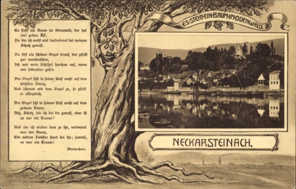 Ak Neckarsteinach in Hessen, Baum im Odenwald, schöner Vogel, idyllische Landschaft