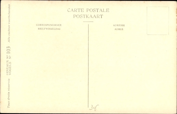 Artist Postcard Dupond, Hub., Falco columbaris aesalon, Merlin