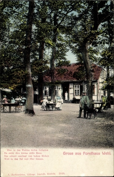 Postcard Wehl Hamelin in Lower Saxony, Forsthaus Wehl