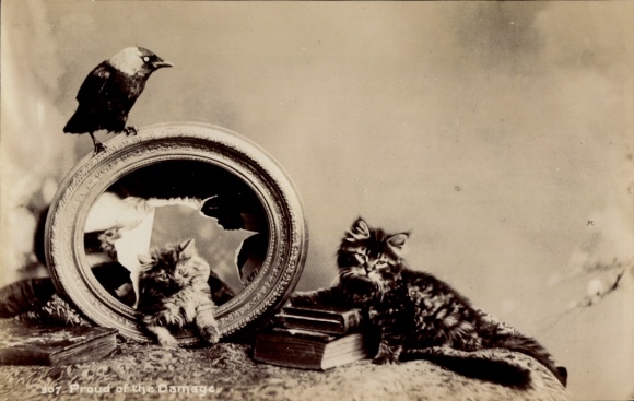 Postcard Pride in destruction, two young cats, broken picture, picture frame, crow
