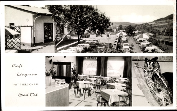 Postcard Bad Orb in Hesse, Cafe Tiergarten, Villbacherstrasse, owner Rolf Weigl
