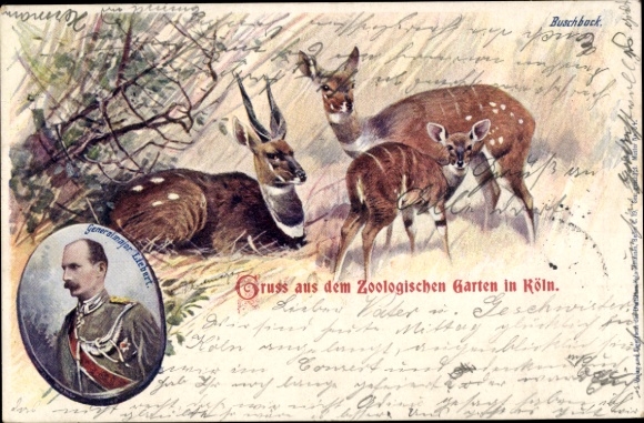 Chromo-Litho Hannover, Zoological Garden, Bushbuck, Major General Liebert