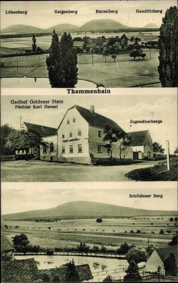 Ak Thammenhain Lossatal in Saksen, Gasthof Goldener Stern, jeugdherberg, Schildauer Berg