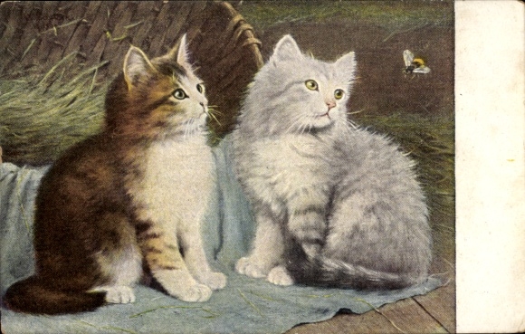 Chromo-Litho Two young cats and a bumblebee