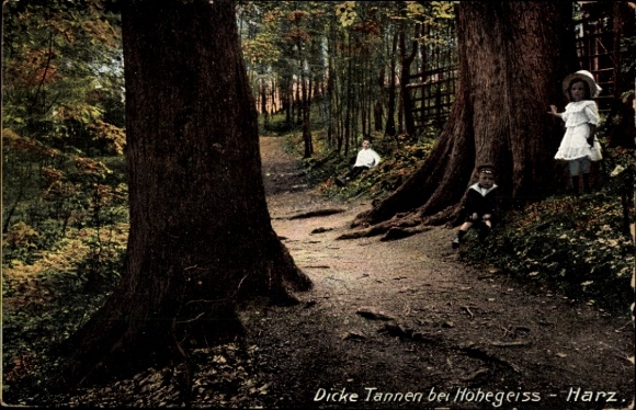 Postcard Hohegeiß Braunlage in the Upper Harz, children playing at the thick fir trees
