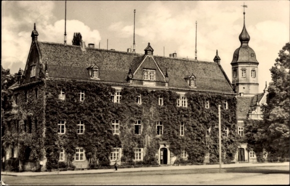 Ak Riesa an der Elbe Sachsen, Rathaus in Riesa, Elbe,  Fotografie, bewachsen mit Pflanzen