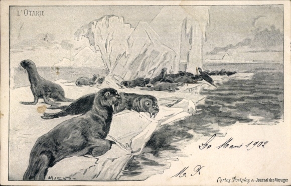 Künstler Ak Robben auf Eisschollen, Journal des Voyages