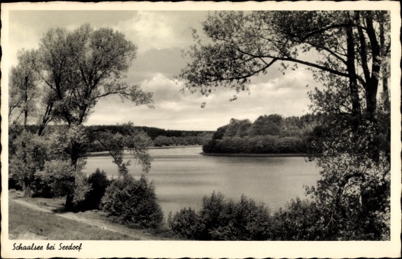 Postcard Seedorf in Lauenburg, view of the Schaalsee