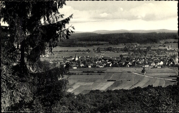 Ak Horn Bad Meinberg am Teutoburger Wald, Gesamtansicht