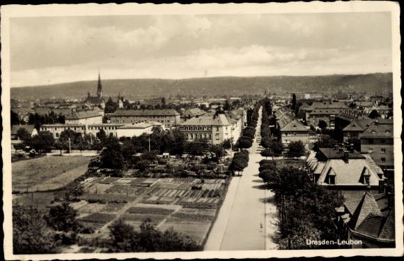 Briefkaart Dresden Leuben, Panorama