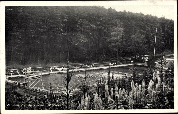 Ansichtkaart Reinhardtsdorf Schöna in Saksen, Waldbad