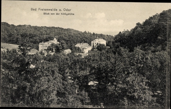 Postcard Bad Freienwalde on the Oder, view from the Königshöhe