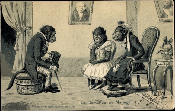Embossed Chromo-Litho Humanized Apes, La Demande en Mariage, Chimpanzees